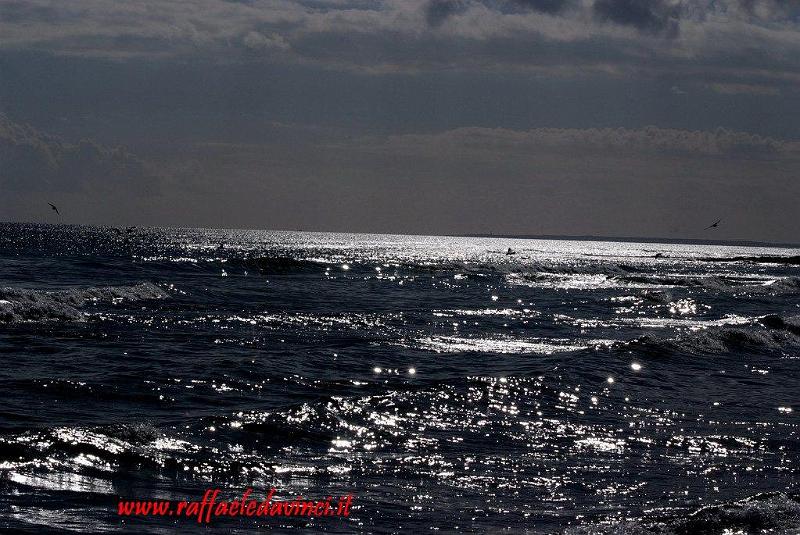 Mare di Avola 13GEN08 (11).jpg